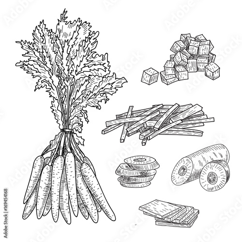 Carrot hand drawn vector illustration set. Isolated Vegetable engraved style object with sliced pieces. Detailed vegetarian food drawing. Farm market product. Great for menu, label, icon.
