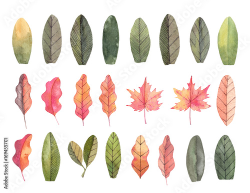 Hand drawn watercolor illustrations. Autumn Botanical clipart. Set of fall leaves. Floral Design elements. Perfect for invitations, greeting cards, blogs, posters, prints
