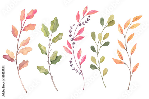Fototapeta Naklejka Na Ścianę i Meble -  Hand drawn watercolor illustrations. Autumn Botanical clipart. Set of fall leaves, herbs and branches. Floral Design elements. Perfect for invitations, greeting cards, blogs, posters, prints