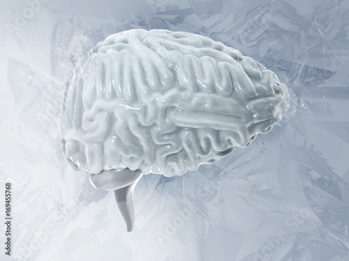 Frozen brain cryogenic concept. Cerebellum. Human brain freeze 3D illustration