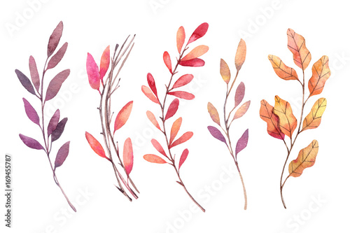 Hand drawn watercolor illustrations. Autumn Botanical clipart. Set of fall leaves, herbs and branches. Floral Design elements. Perfect for invitations, greeting cards, blogs, posters, prints
