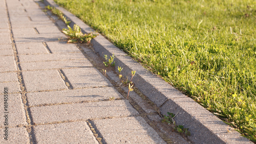 Tableau sur toile road and lawn divided by a concrete curb