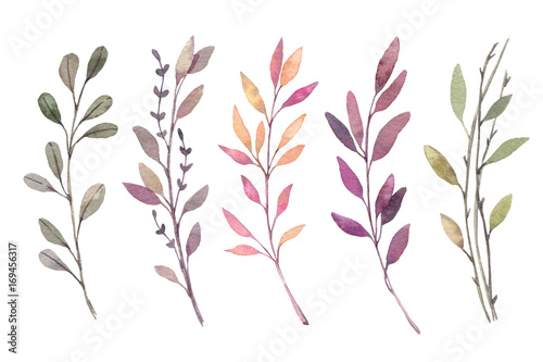 Fototapeta Naklejka Na Ścianę i Meble -  Hand drawn watercolor illustrations. Autumn Botanical clipart. Set of fall leaves, herbs and branches. Floral Design elements. Perfect for invitations, greeting cards, blogs, posters, prints
