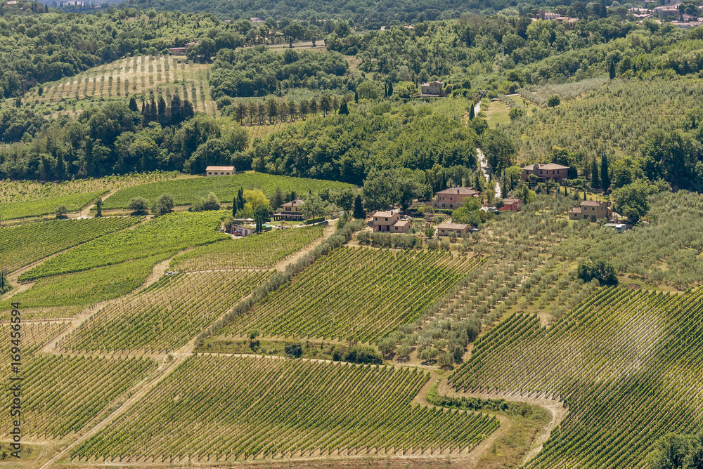 Aerial view of expanses of vineyards around Montepulciano, Siena, Italy, famous for its noble wine