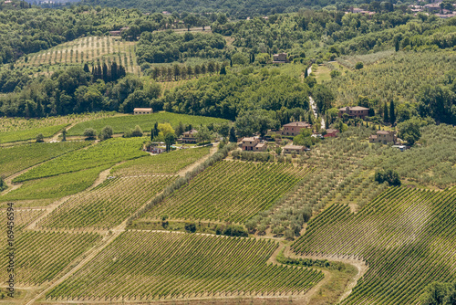 Aerial view of expanses of vineyards around Montepulciano  Siena  Italy  famous for its noble wine