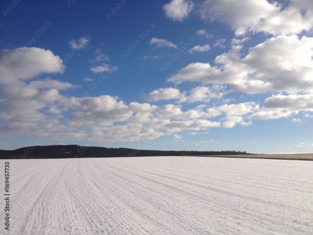Wintersky Wintersky