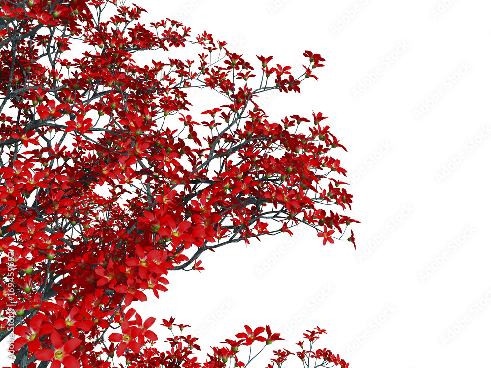 3d rendering of a foreground tree branch isolated on white 3d rendering of a foreground tree branch isolated on white