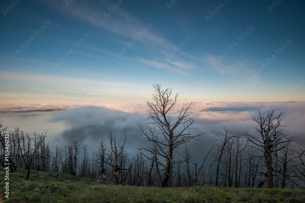 Obraz premium Yellowstone Landscape