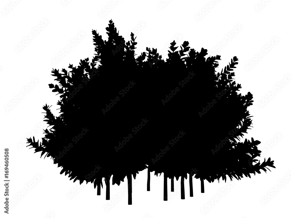 3d rendering of a silhouette tree isolated on white background 3d rendering of a silhouette tree isolated on white background