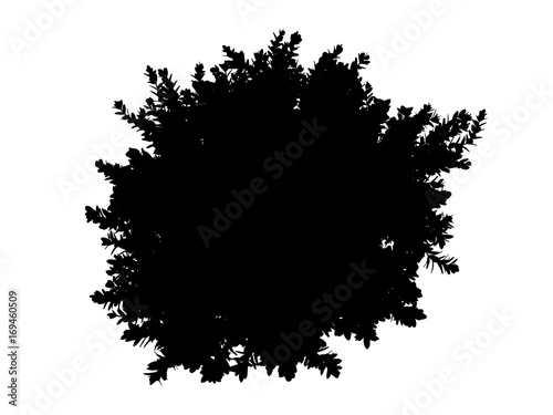 3d rendering of a silhouette tree isolated on white background