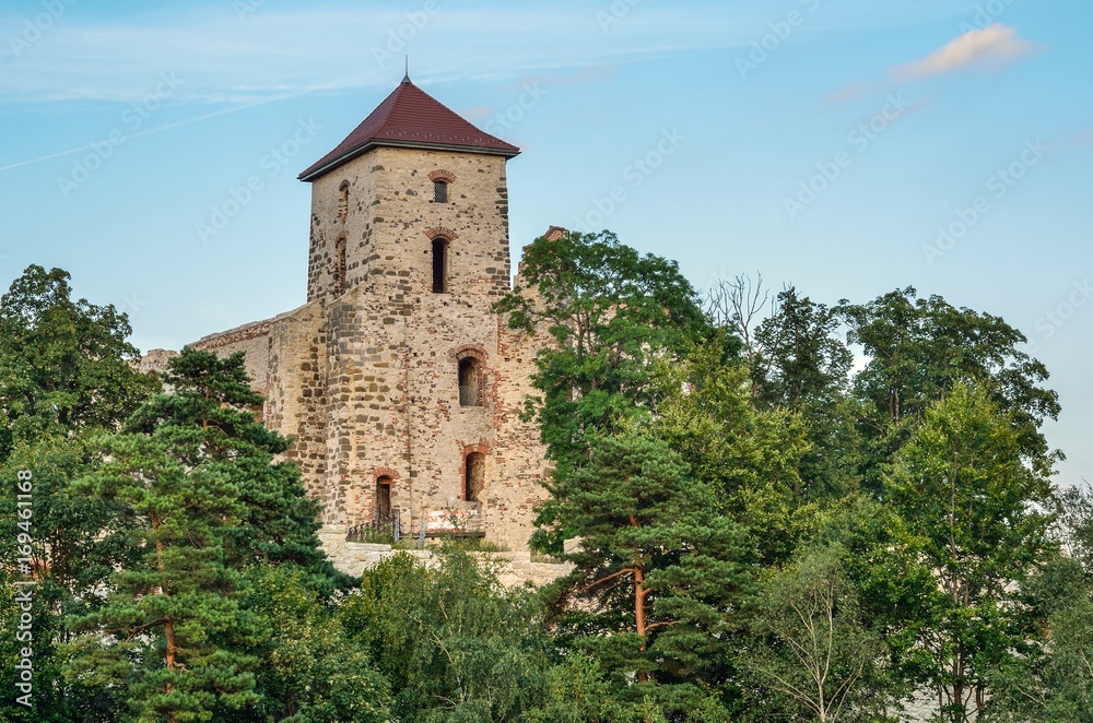Beautiful historic castle ruins on a green hill. Ruins of Tenczyn Castle in Rudno, Poland.