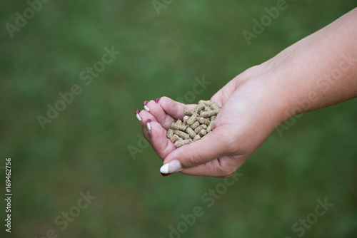 Hand full of food pellets
