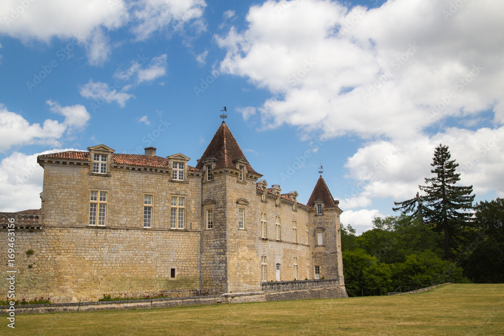 castle of Cazeneuve in the south west of France castle of Cazeneuve in the south west of France