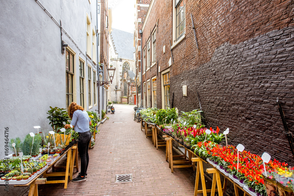 Fototapeta premium Poranny widok na wąską uliczkę z kwiatami w Amsterdamie
