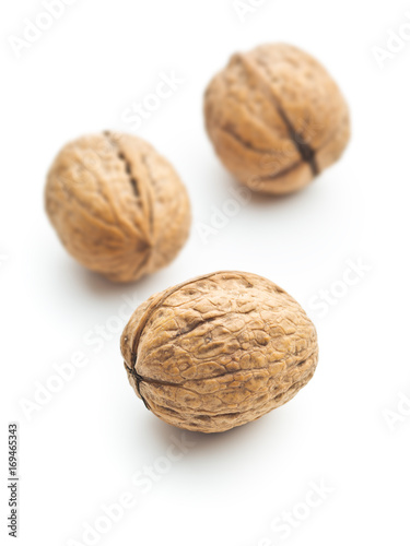 Dried walnuts in nutshell.