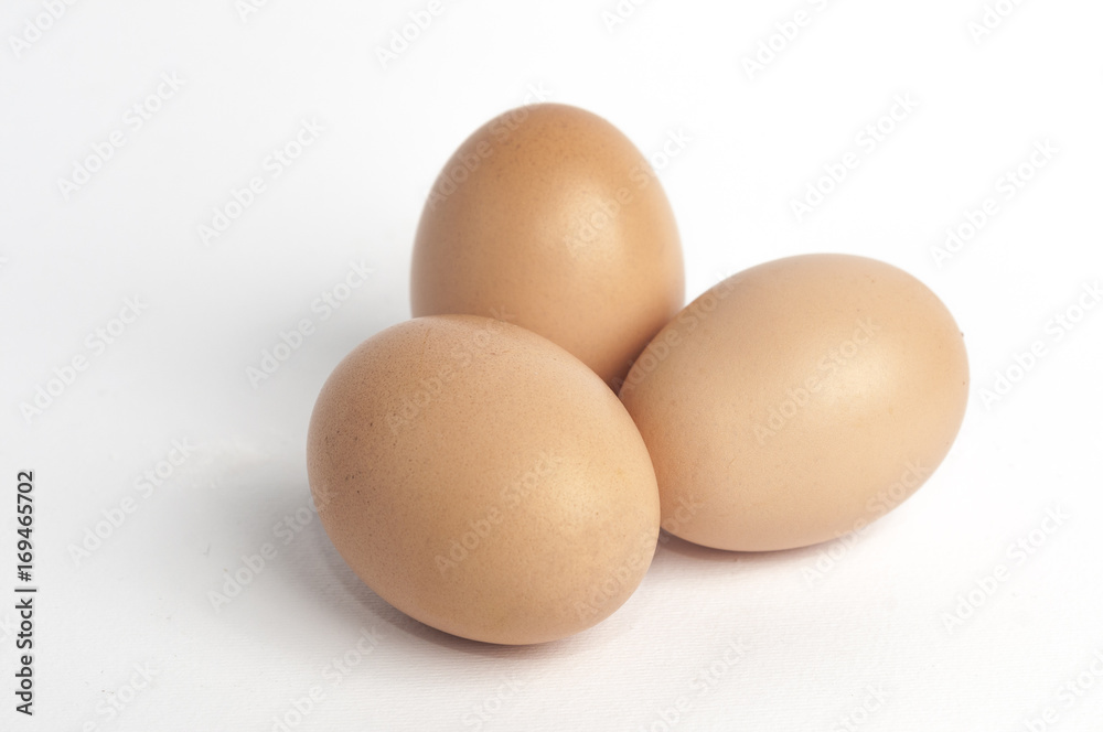 egg egg