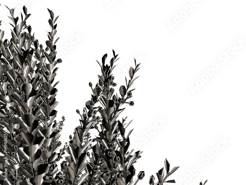 Wallpaper Mural 3d rendering of a silver tree isolated on a white background Torontodigital.ca