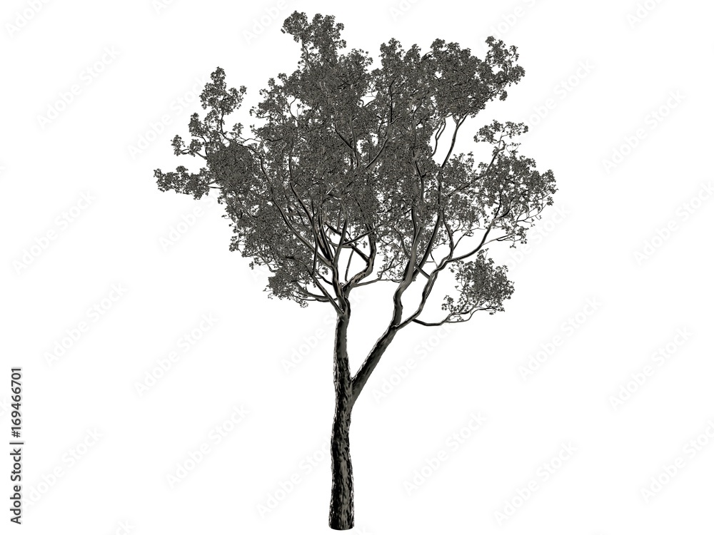 Fototapeta premium 3d rendering of a silver tree isolated on a white background