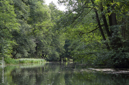 Spreewald