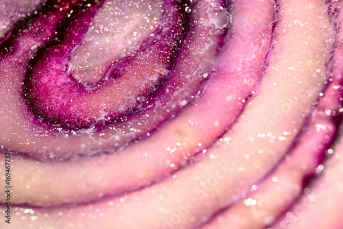 Macro texture of purple onion