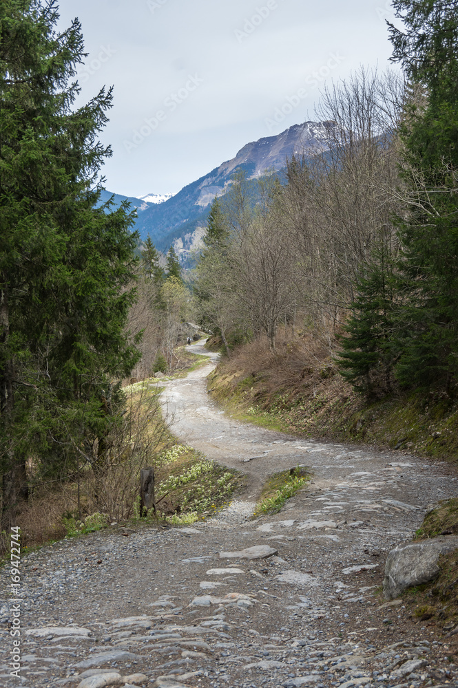 Panoramic view of french Alps