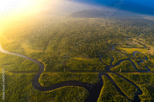Amazon Rainforest in Brazil photo