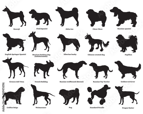 Set of dogs silhouettes-3