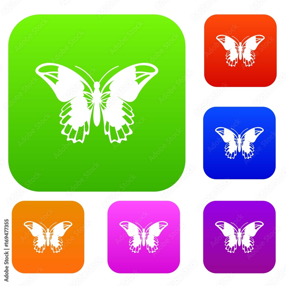 Admiral butterfly set collection Admiral butterfly set collection