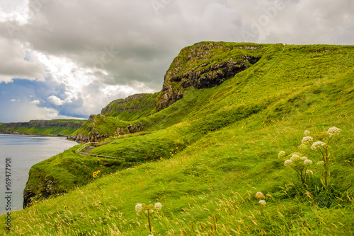 Cliffs of Carrick-a-rede ro...