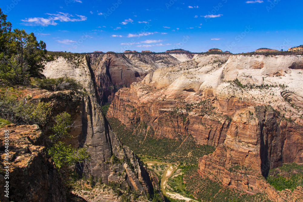 Zion Canyon and the Virgin River from the East Rim