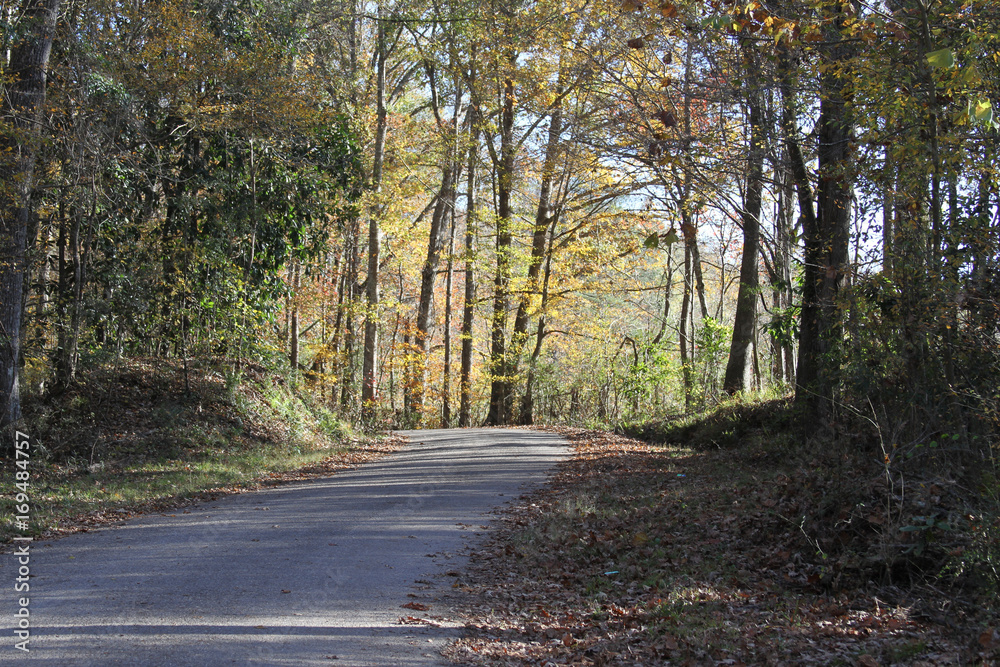 Fototapeta premium Country Road Scene