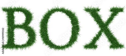 Box - 3D rendering fresh Grass letters isolated on whhite background.