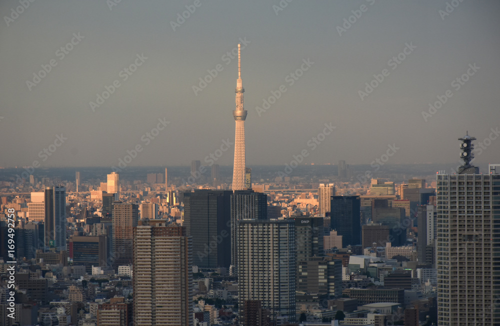 日本の東京都市景観・夕日をあびる街並み（墨田区方面などを望む）