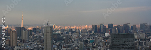 日本の東京都市風景・夕日でオレンジ色に染まる街並み（墨田区や千代田区方面などを望む）