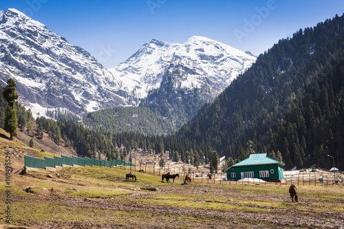 Panoramic view of beautiful mountain landscape small village among snow pine trees mountain background