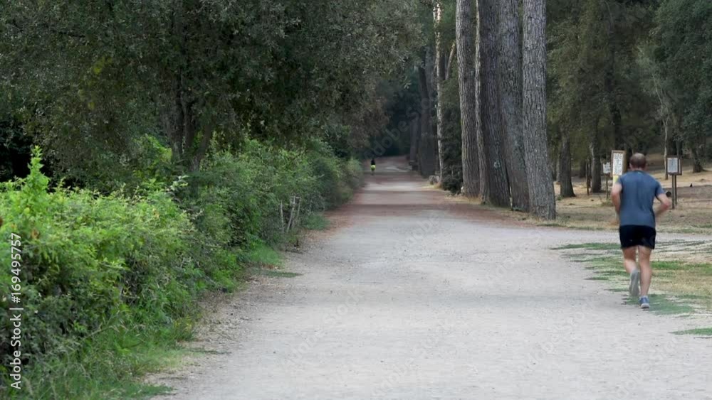 Man running on path in the park with trees and grass Man running on path in the park with trees and grass