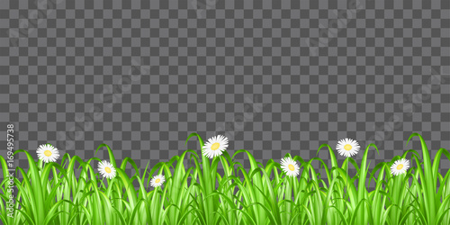 grass and flower on transparent background vector