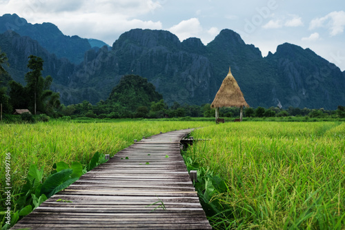 Countryside landscaped, wooden pathway in green rice field in Vang Vieng, Laos