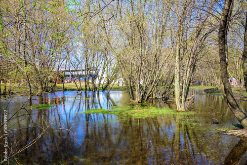 Spring flooded trees with blossoming buds in the Kolomenskoye museum-reserve with arena of the international knight festival Tournament of Saint George on the background