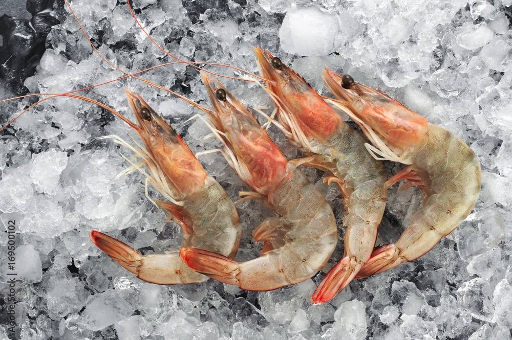 Fresh shrimps on ice. Seafood.