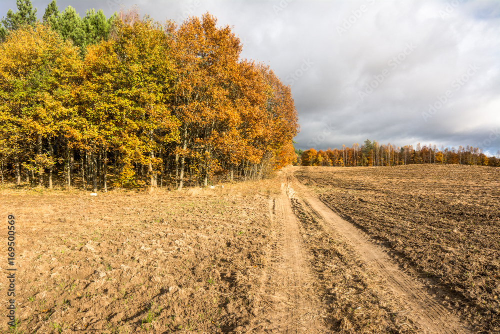 Country road through farm land and plowed field in autumn, landscape Country road through farm land and plowed field in autumn, landscape