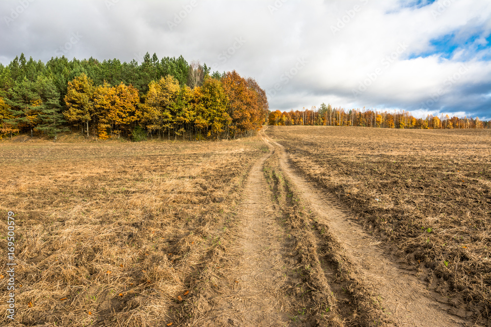 Dirt road through farmland and plowed field in autumn, landscape
