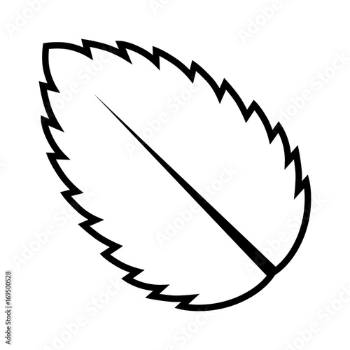 Peppermint / Spearmint mint or mentha leaf line art vector icon for apps and websites