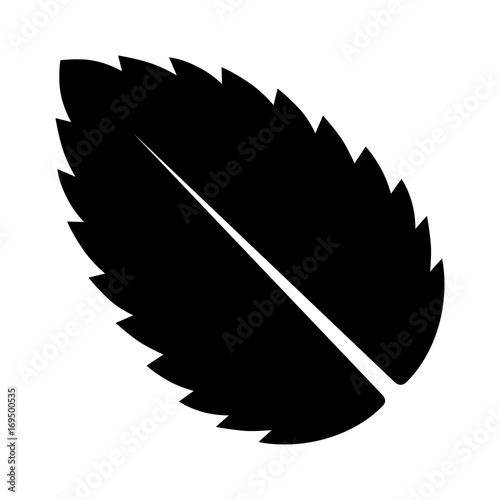Peppermint / Spearmint mint or mentha leaf flat vector icon for apps and websites