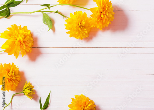 yellow flowers on white background
