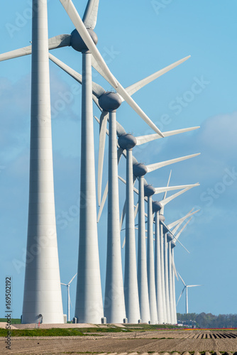 Windmills on the field