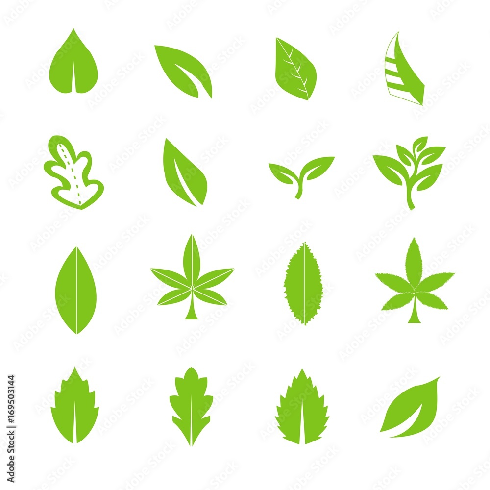 green leave icons set vector green leave icons set vector