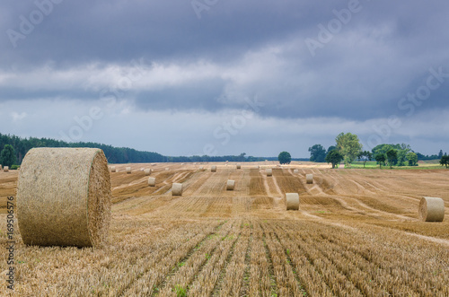 LATE SUMMER ON THE FIELD - Straw bales and rainy clouds