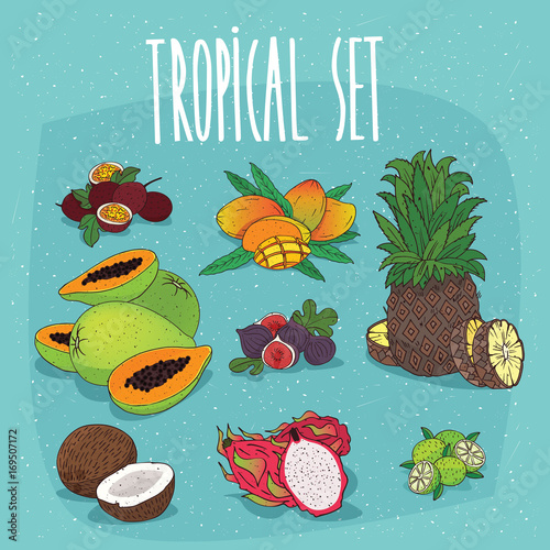 Set of isolated clipart, tropical fruits, passion fruit, mango, pineapple, papaya, figs, coconut, pitaya, lime. Realistic hand draw style. Lettering Tropical set