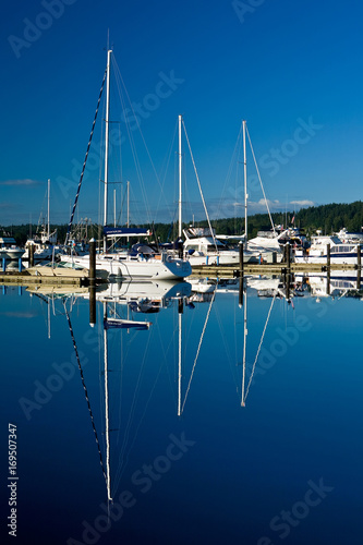 White sailboats and reflections in calm marina